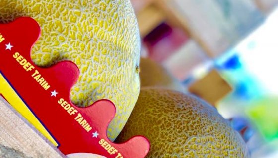 Firmamızdan Kareler