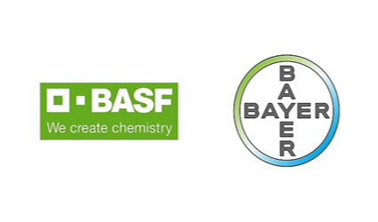 BASF NUNHEMS