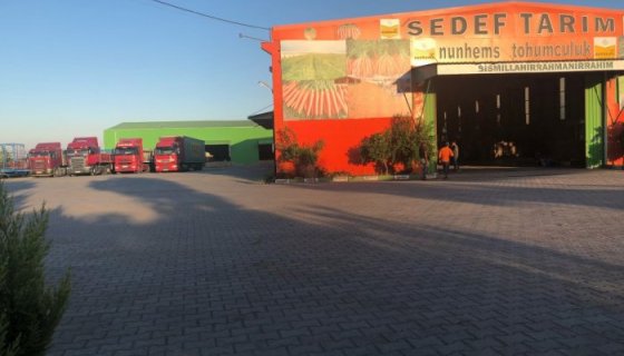 Sedef Tarım ürünleri Hoşgeldiniz